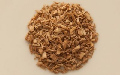 Sandalo: caratteristiche della pianta e proprietà dell’olio essenziale