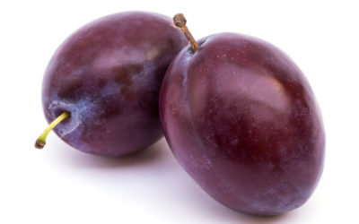 Le susine, un frutto estivo da cui si ricava anche una ottima marmellata