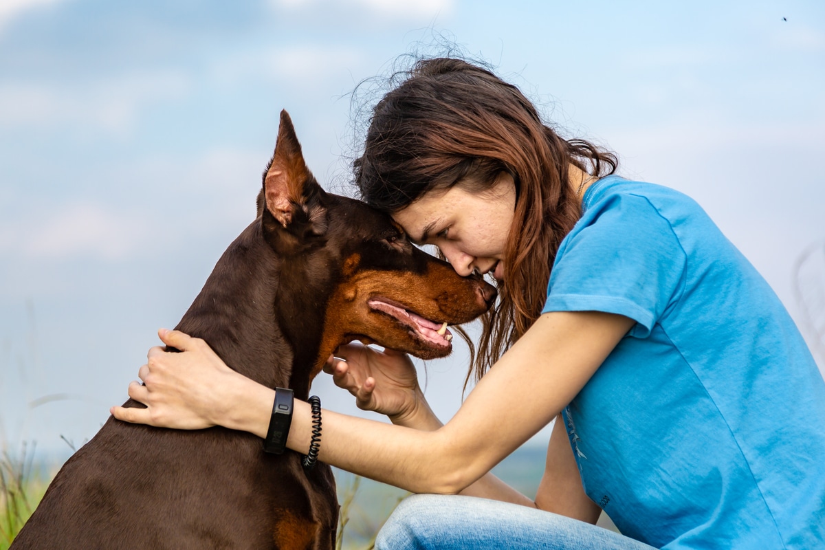 come addestrare un cucciolo a fare la guardia alla bicicletta