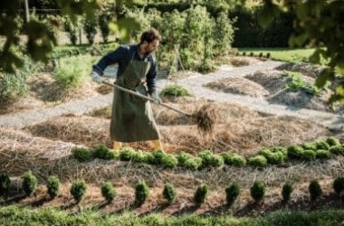 Cos’è la permacultura e quali sono i suoi principi