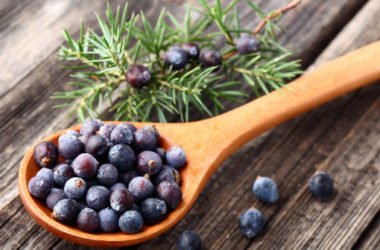 Proprietà della bacche di ginepro: in cucina e come liquore