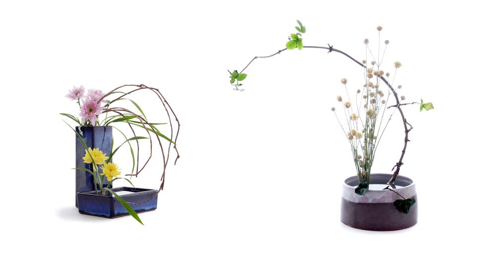 Tutto sull'Ikebana, l'arte giapponese di disporre i fiori Tutto sull'Ikebana, l'arte giapponese di disporre i fiori