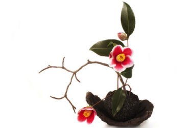 Ikebana, la filosofia e la pratica dell’arte giapponese di composizione dei fiori