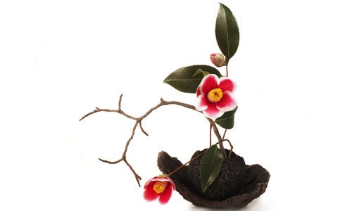 Ikebana, la filosofia e la pratica dell’arte giapponese di composizione dei fiori