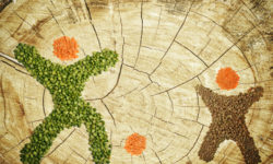 Tutte le ricette per cucinare i legumi ai bambini, facili e salutari