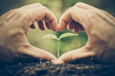 Agricoltura sociale: cos’è e qual è il suo scopo