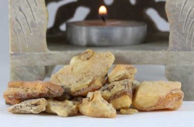 Benzoino: una resina dalle incredibili proprietà, usata nei profumi, in fitoterapia e come olio