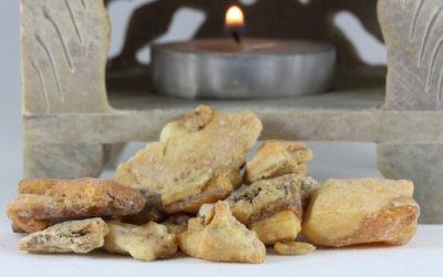 Benzoino: una resina dalle incredibili proprietà, usata nei profumi, in fitoterapia e come olio