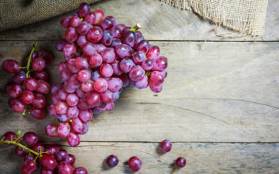 Tutto sull’uva e sulla vite, come si coltiva, le proprietà ed i benefici e gli utilizzi in cucina