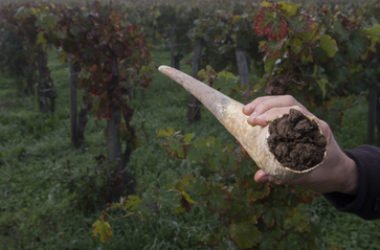 Cos’è l’agricoltura biodinamica e in cosa si differenzia dall’agricoltura biologica