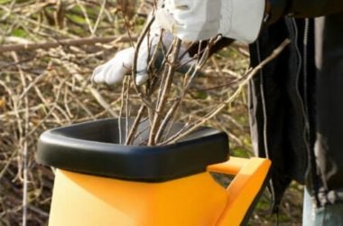 Biotrituratore: come funziona e cosa sapere per la scelta del modello