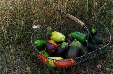 Semina: quando farla e gli errori da evitare