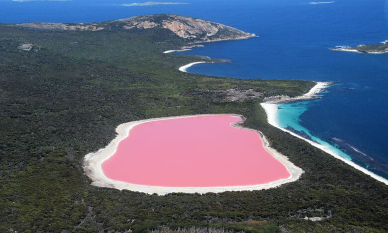 laghi rosa nel mondo