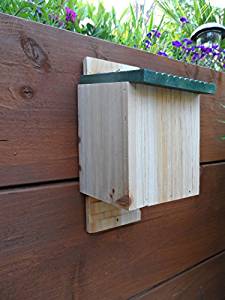 bat box