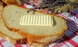 Lipidi: cosa sono e qual è la loro funzione
