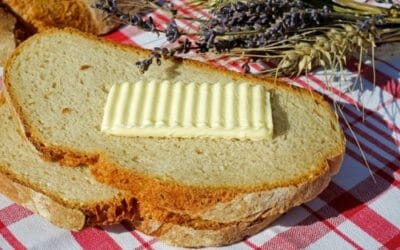 Lipidi: cosa sono e qual è la loro funzione