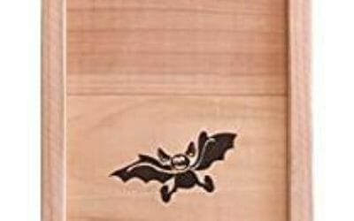 Tutto sulle Bat box, le casette per i pipistrelli, che cosa sono e come possono rivelarsi utili contro le zanzare