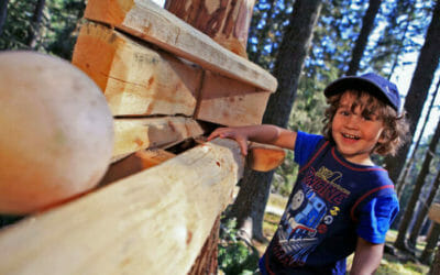 Bosco delle Sfere in Austria: una maxi-pista di biglie in legno per grandi e piccini