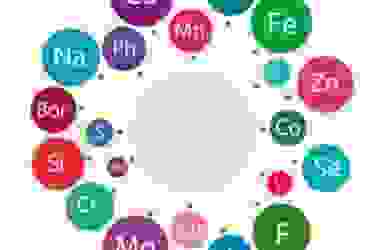 Oligoelementi: che cosa sono e quali benefici apportano?