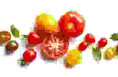 Pomodoro: ricco di vitamine è il principe della cucina italiana, ma non solo