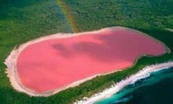 Laghi rosa nel mondo: un fenomeno naturalistico unico