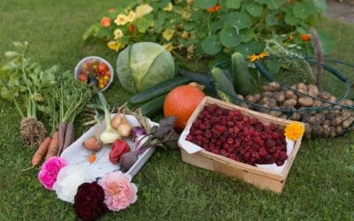Orto in autunno: cosa coltivare per avere ortaggi e verdure a km zero