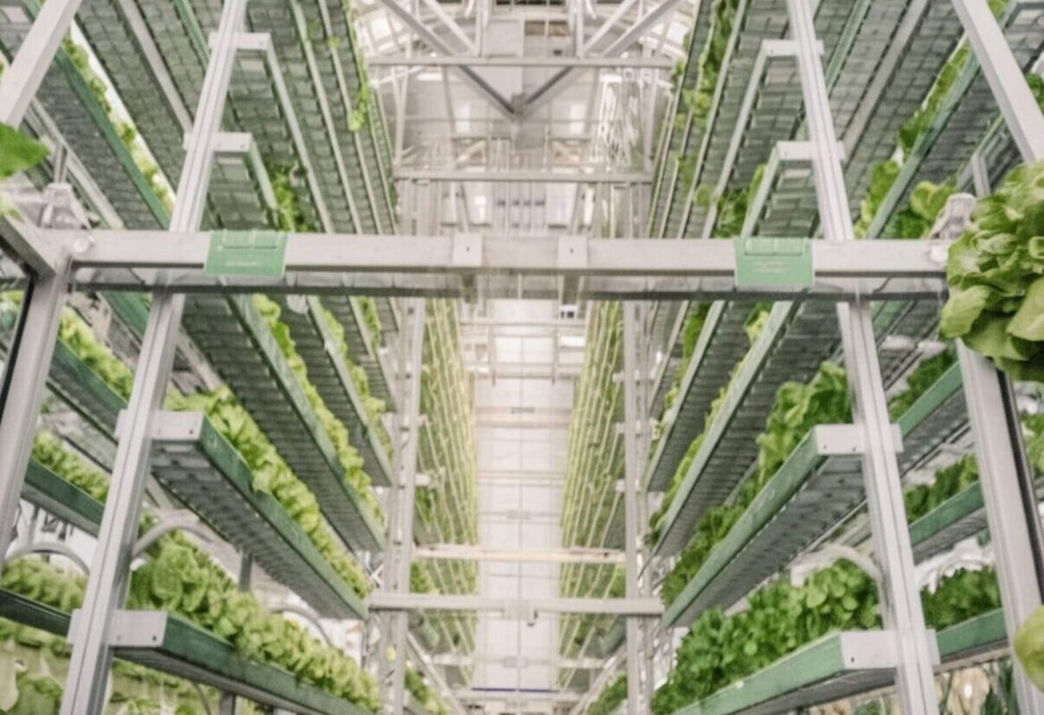 Un enorme orto verticale a Singapore