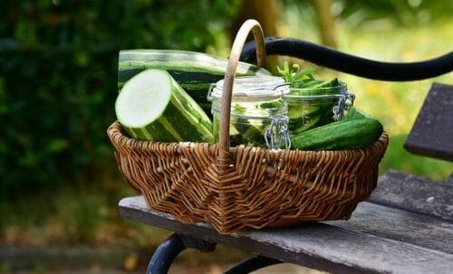 pesto di zucchine