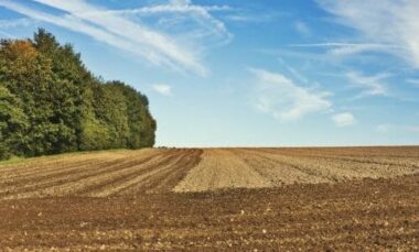 Sarchiatura: cos’è, come si esegue e perché è ancora utile