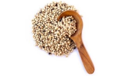 Sorgo: le proprietà di un cereale senza glutine
