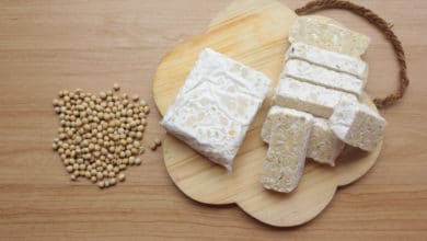 tempeh