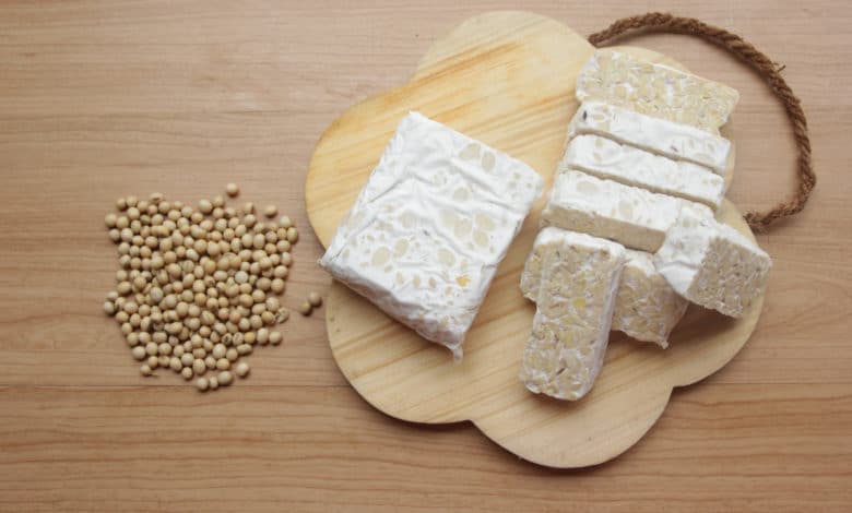tempeh