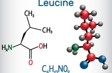 Leucina, un aminoacido essenziale molto importante specie per lo sportivo