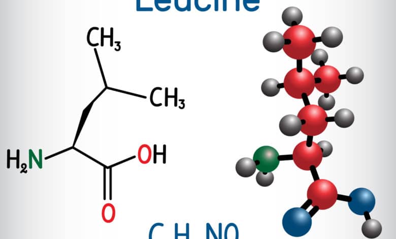 leucina