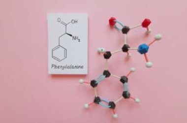 Phénylalanine: pourquoi cet acide aminé est si important