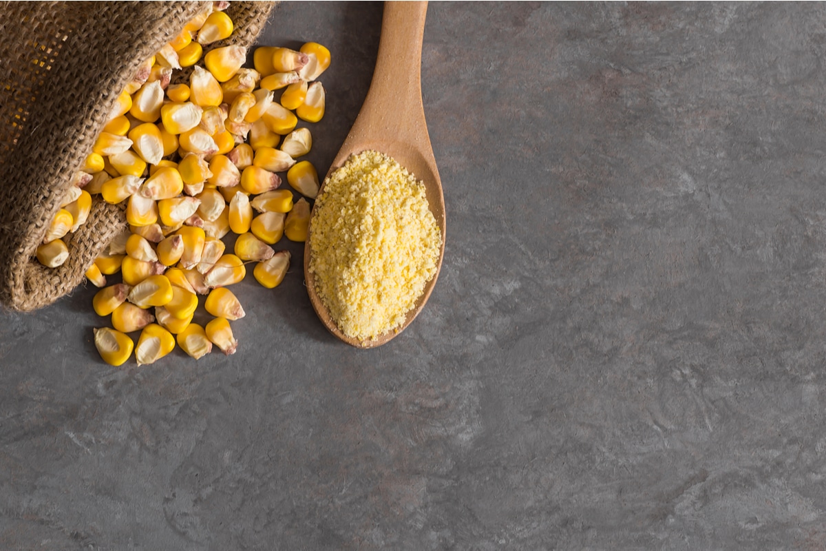 Farina di mais: i diversi tipi e le proprietà di questa farina