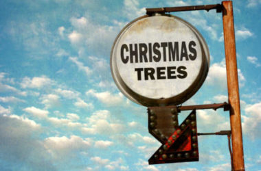 Un albero di Natale fai da te: in materiale riciclato, in cartone, in plastica…