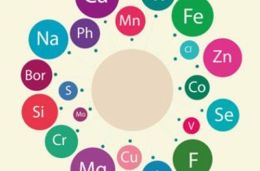 Oligoelementi: che cosa sono e quali benefici apportano?