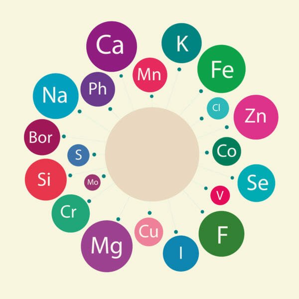 Oligoelementi