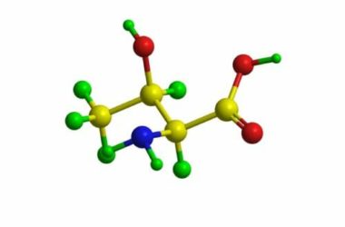Aminoacidi essenziali: quali sono e a cosa servono