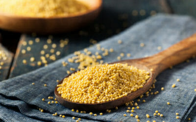 Miglio: proprietà e ricette con questo cereale