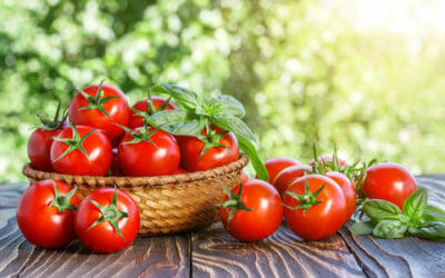 Pomodoro: ricco di vitamine è il principe della cucina italiana, ma non solo