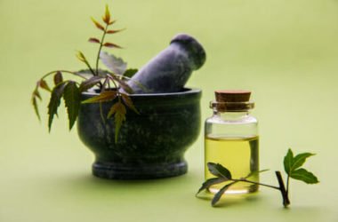 Origine, proprietà ed utilizzi dell’olio di Neem: impariamo come conservarlo ma anche le controindicazioni