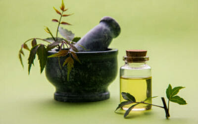 Origine, proprietà ed utilizzi dell’olio di Neem: impariamo come conservarlo ma anche le controindicazioni