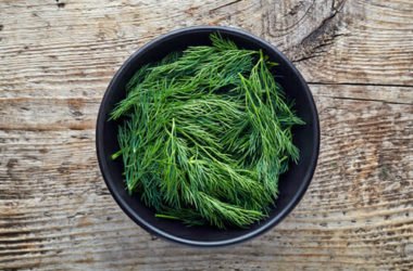 Aneto: proprietà e utilizzi in cucina