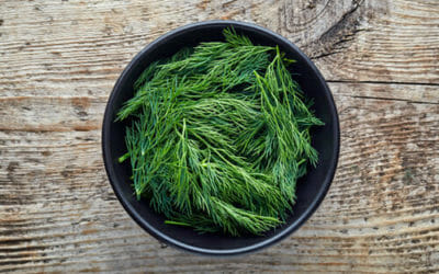 Aneto: proprietà e utilizzi in cucina