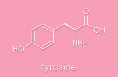 Tirosina: scopriamo questo aminoacido fondamentale per il benessere