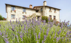 Agriturismo Umbria: i migliori agriturismi biologici umbri