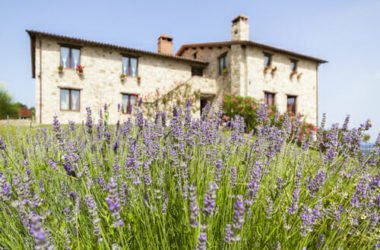 Agriturismo Umbria: i migliori agriturismi biologici umbri