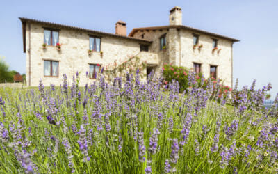 Agriturismo Umbria: i migliori agriturismi biologici umbri